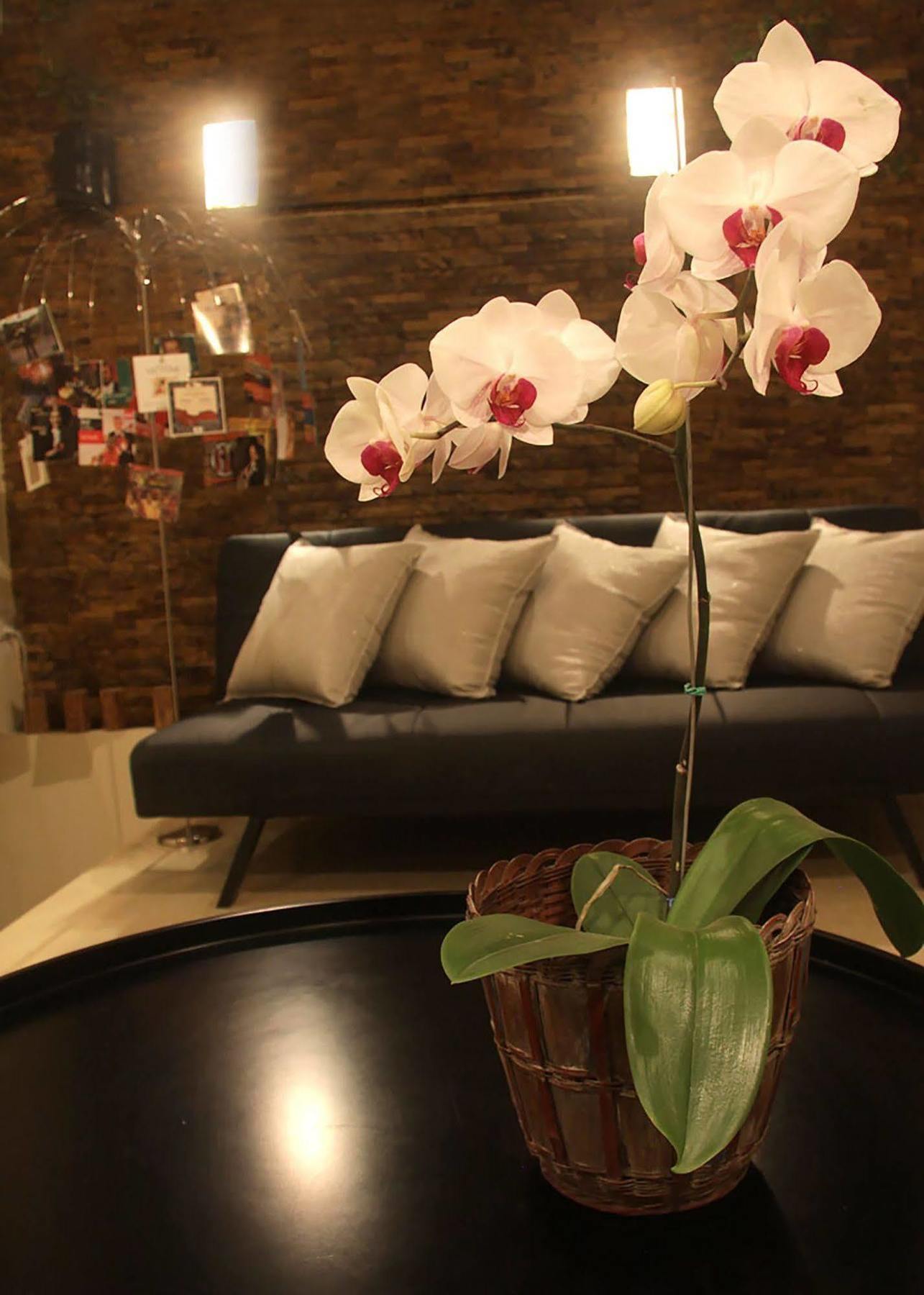 6 Suites Hotel Bogota Exterior photo